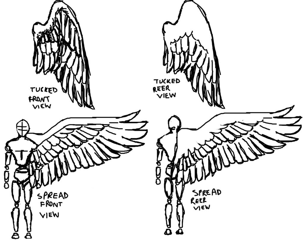 1023x819 Wings Line Drawing - Wings Line Drawing