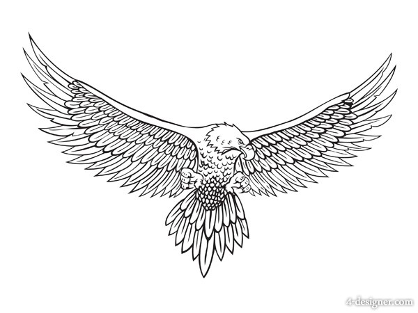 600x450 Designer Line Drawing Of The Eagle Vector - Wings Line Drawing