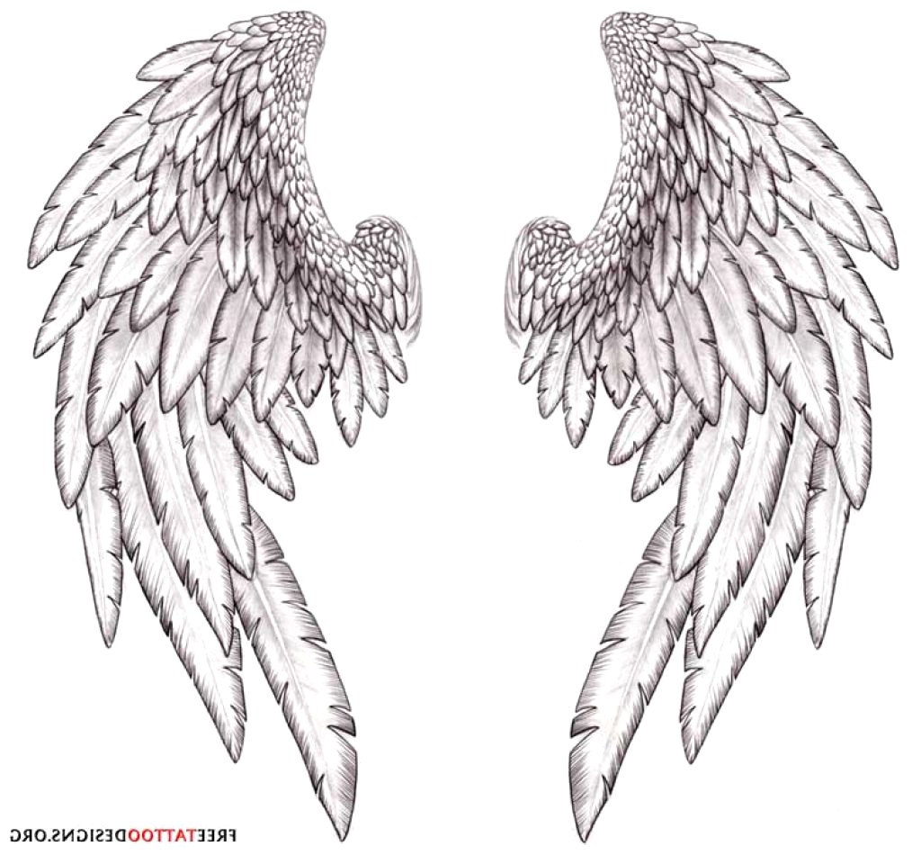 1024x950 Angel Wings Sketch Realistic Drawing Tattoos On Back Tattoo - Wings Line Drawing