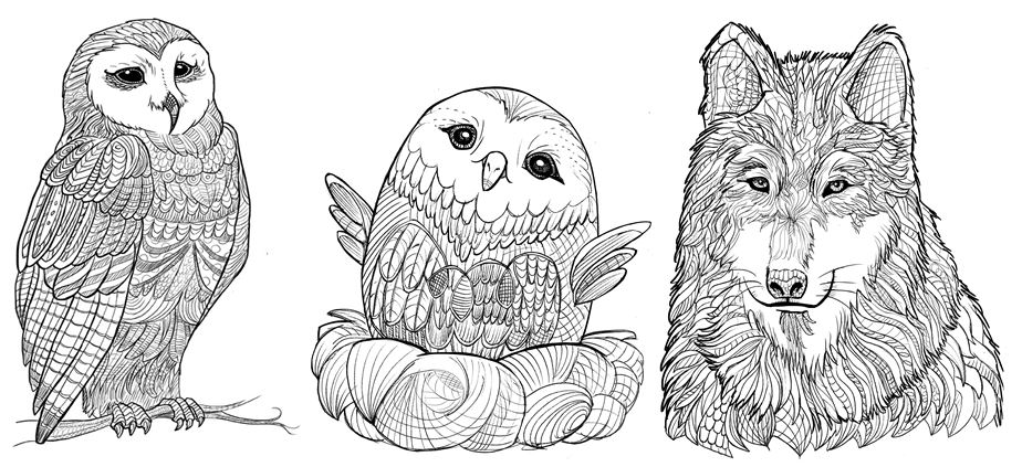 924x423 relaxing grown up coloring book amazing winter animals - Winter Animals Drawing