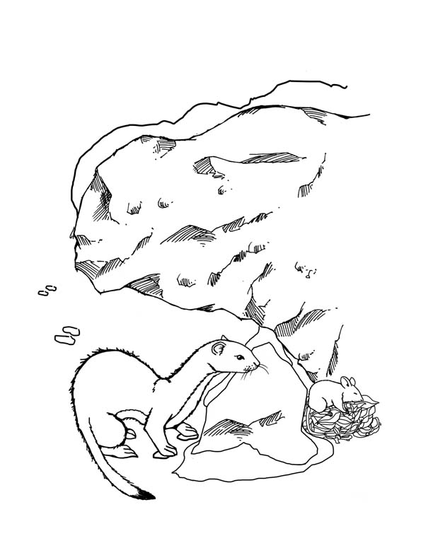 612x792 Winter Animal Mural - Winter Animals Drawing