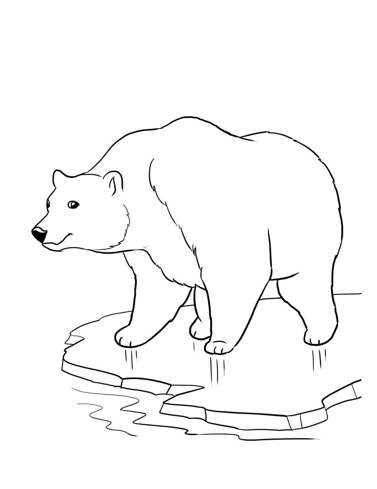 840 Coloring Pages Winter Animals , Free HD Download