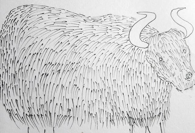 640x435 How To Draw Winter Animals - Winter Animals Drawing