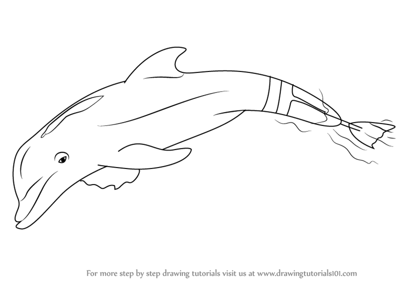 800x566 Learn How To Draw Winter The Dolphin - Winter Drawing Images