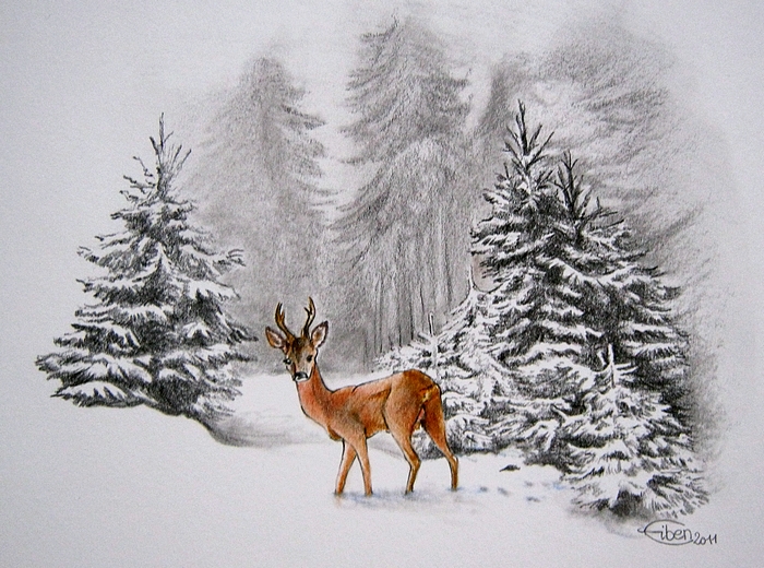 700x520 winter drawing, pencil, sketch, colorful, realistic art images - Winter Drawing Images