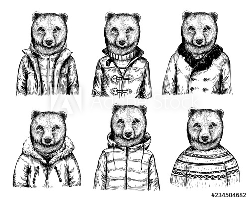 500x402 sketch of bear in winter jacket hand drawn vector illustration - Winter Jacket Drawing