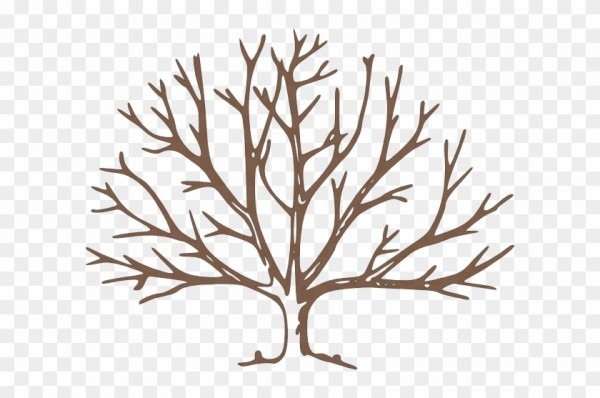 600x398 Winter Tree Drawing - Winter Tree Drawing