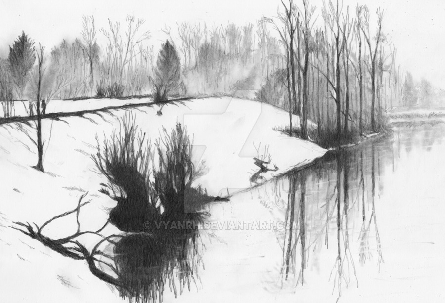 900x613 Winter Tree Drawing - Winter Tree Drawing