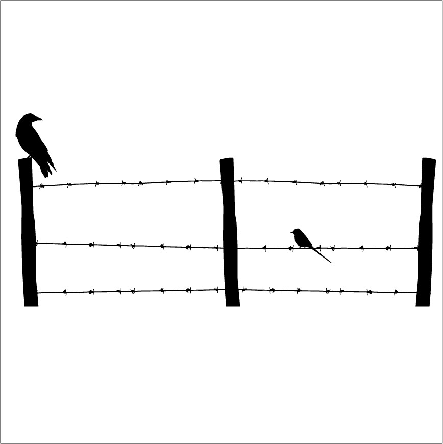 868x869 best barb wire fence outdoor waco - Wire Fence Drawing