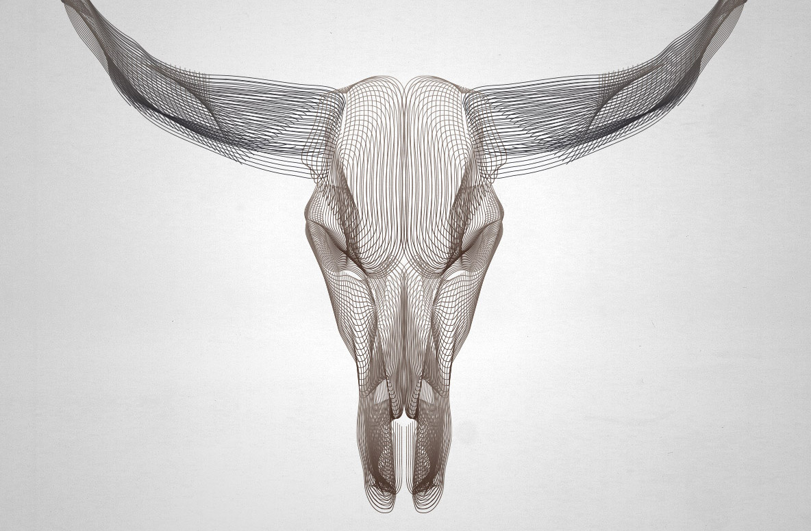 1184x776 wireframe animal skulls using illustrator's blend tool - Wireframe Drawing