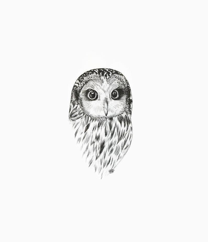 794x923 owl print owl decor owl ink print owl art owl drawing owl etsy - Wisdom Drawing
