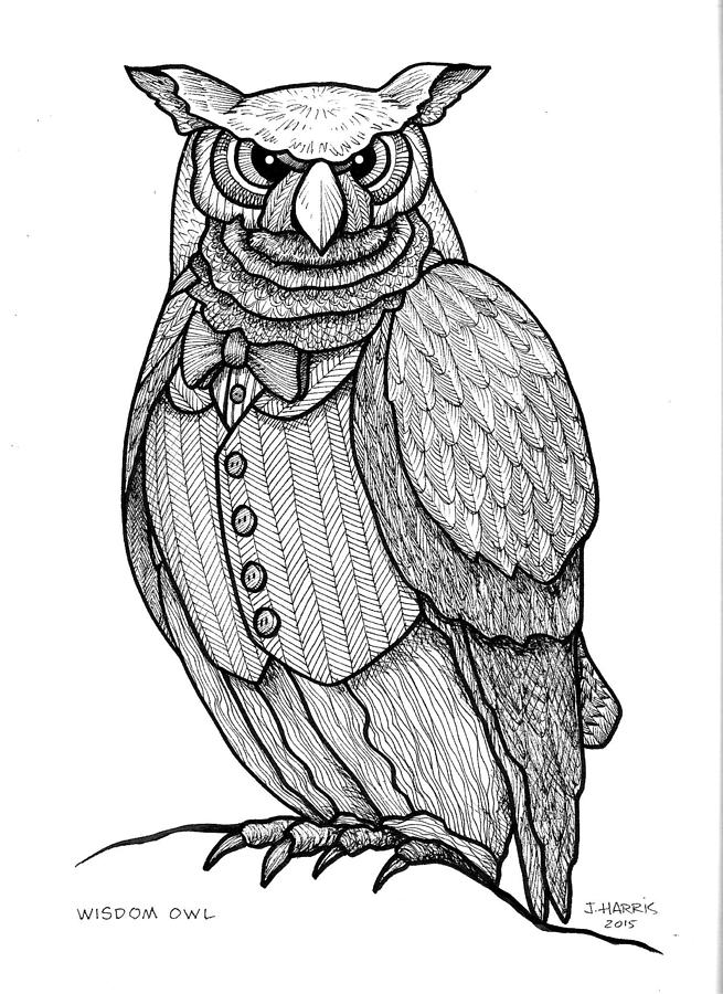 655x900 wisdom owl drawing - Wisdom Drawing