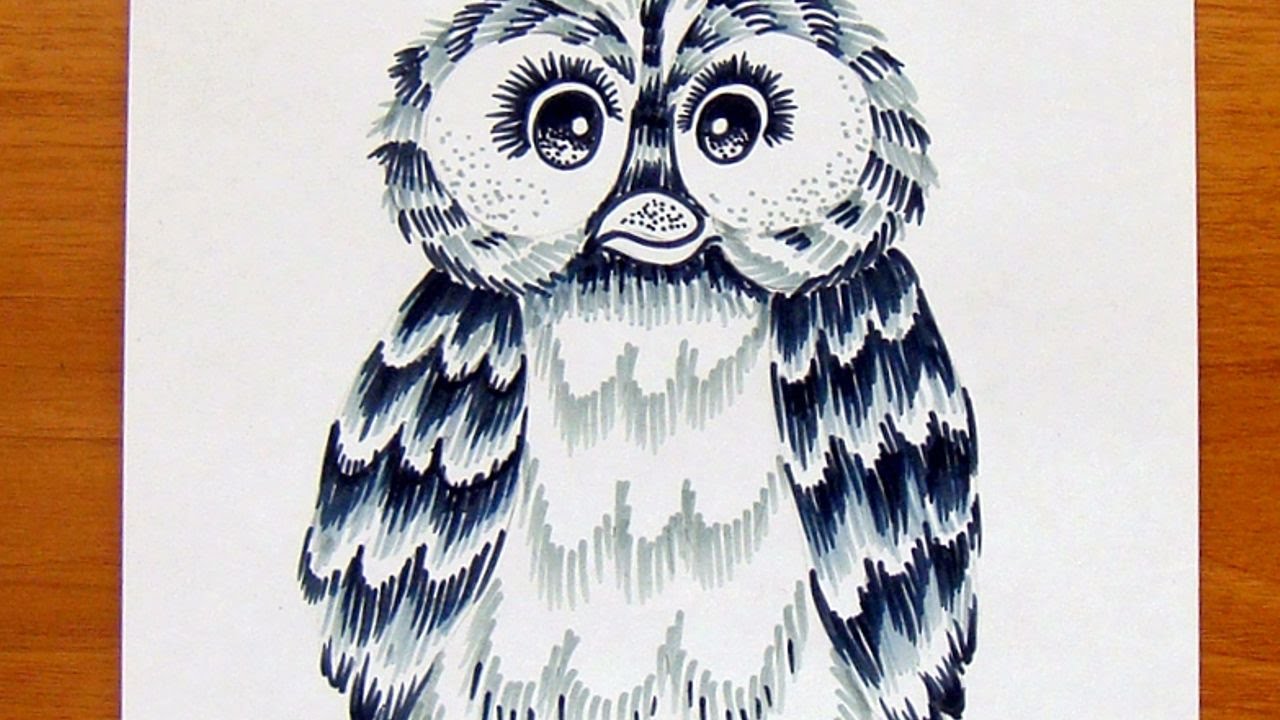 1280x720 how to draw a wise owl - Wise Owl Drawing