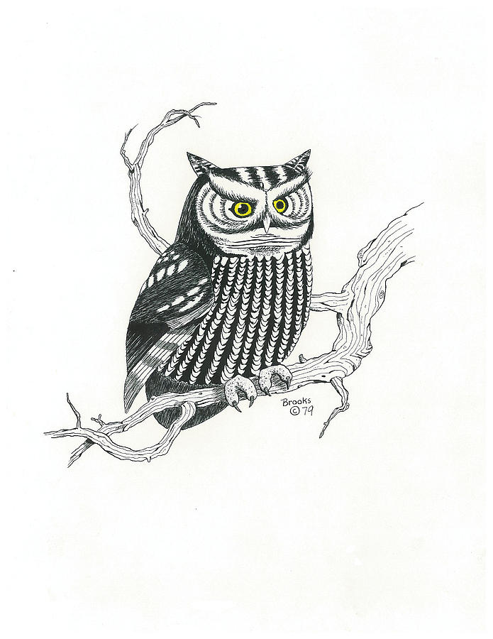 695x900 mr wise owl drawing - Wise Owl Drawing
