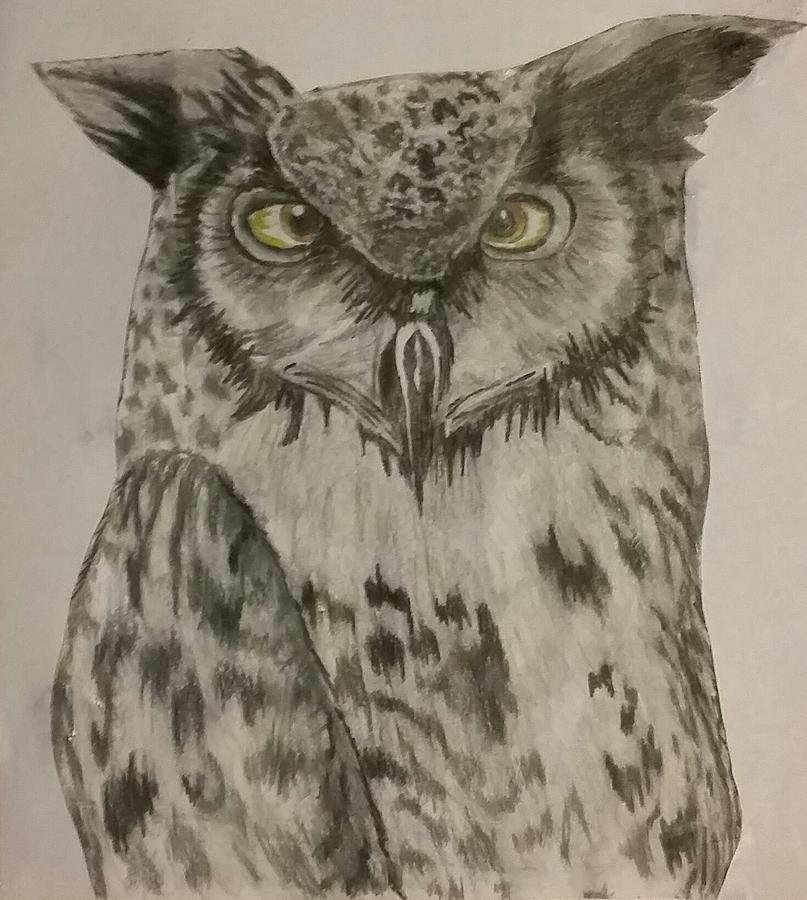 807x900 the wise owl drawing - Wise Owl Drawing