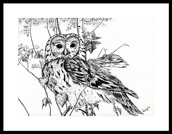 600x470 the wise owl framed print - Wise Owl Drawing