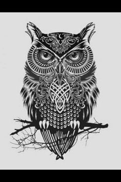 236x354 Best Tattoos Images Tattoo Inspiration, Tattoo Owl, Coolest - Wise Owl Drawing