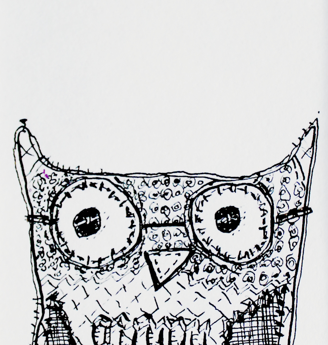 1072x1127 wise owl drawing art rippingham art - Wise Owl Drawing