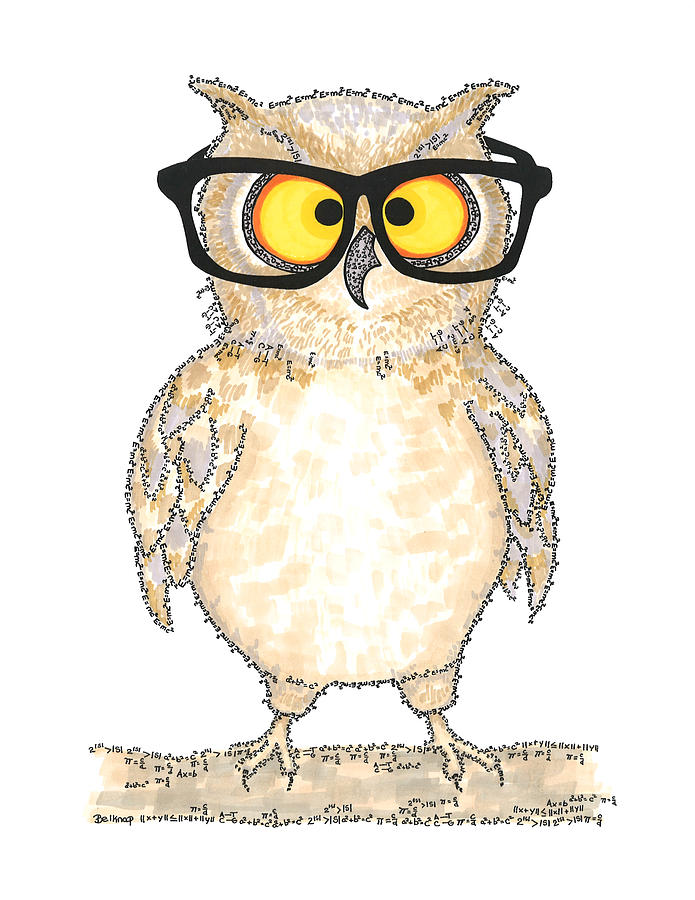 695x900 wise owl drawing - Wise Owl Drawing