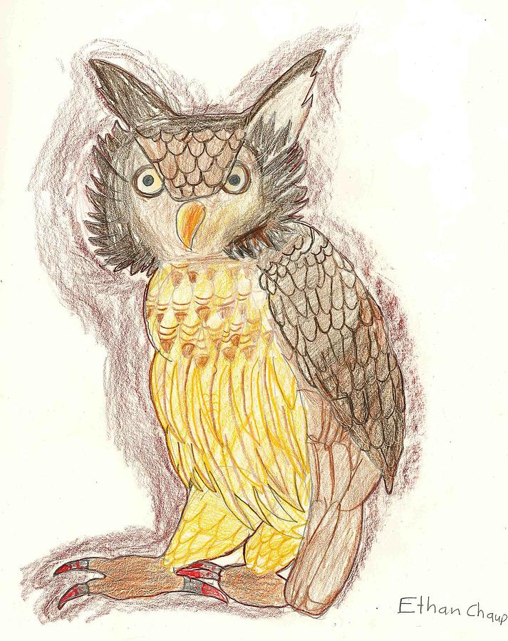 713x900 wise owl drawing - Wise Owl Drawing