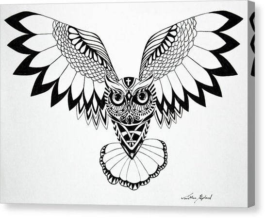 546x449 wise owl drawing - Wise Owl Drawing