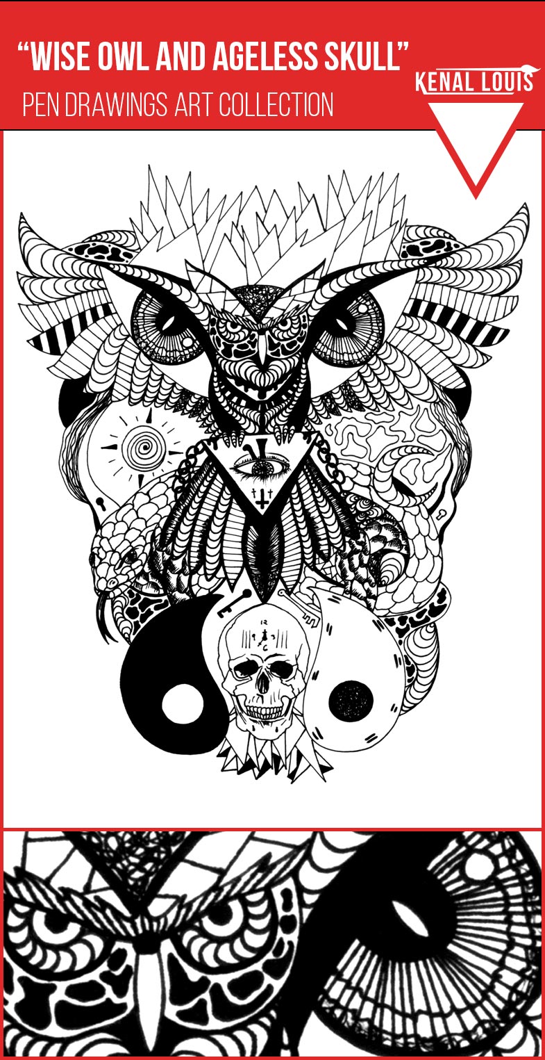 785x1525 Of The Most Unique Pen Drawings Art Perfect For Your Home - Wise Owl Drawing