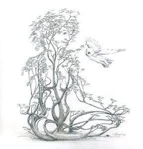 288x300 wise owl drawings fine art america - Wise Owl Drawing