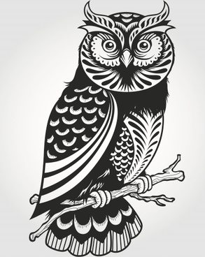 293x368 wise owl vector free free vector download - Wise Owl Drawing