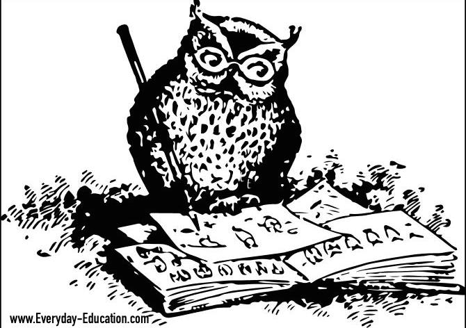 670x472 wise owl drawing everyday education - Wise Owl Drawing