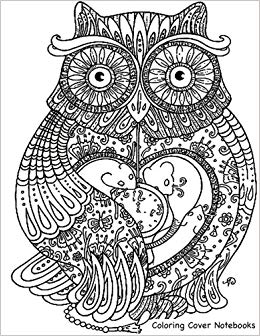 260x336 coloring cover sketchbook wise owl sketchbook for sketching - Wise Owl Drawing