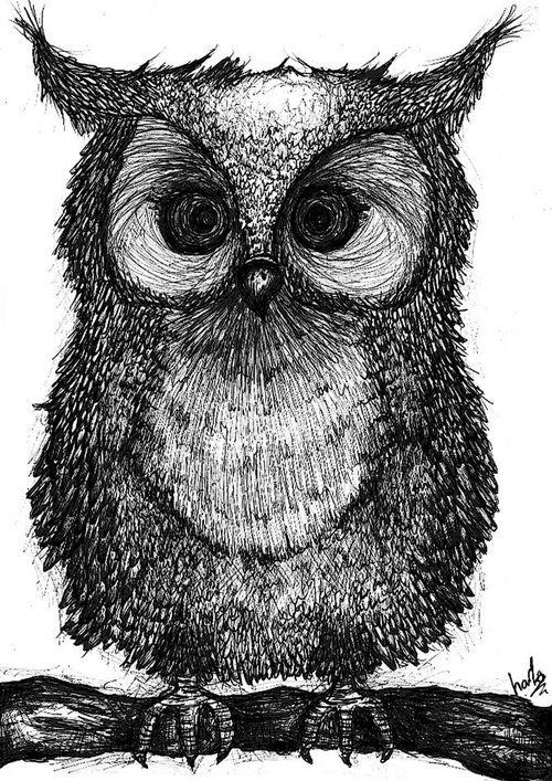 500x707 cute owl drawing illustration owl art, cute owl drawing, owl - Wise Owl Drawing