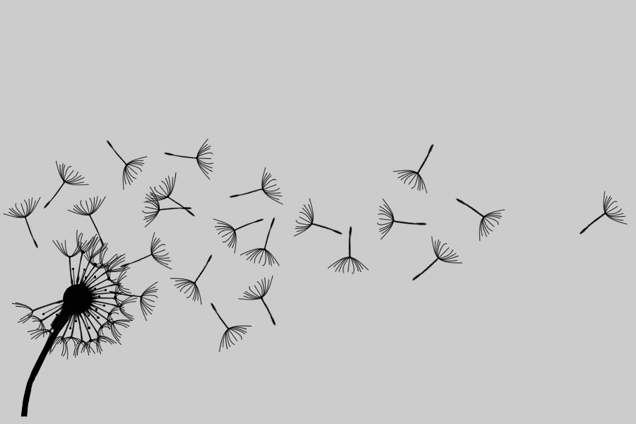 900x600 the design portfolio of jessica griffin - Wish Drawing