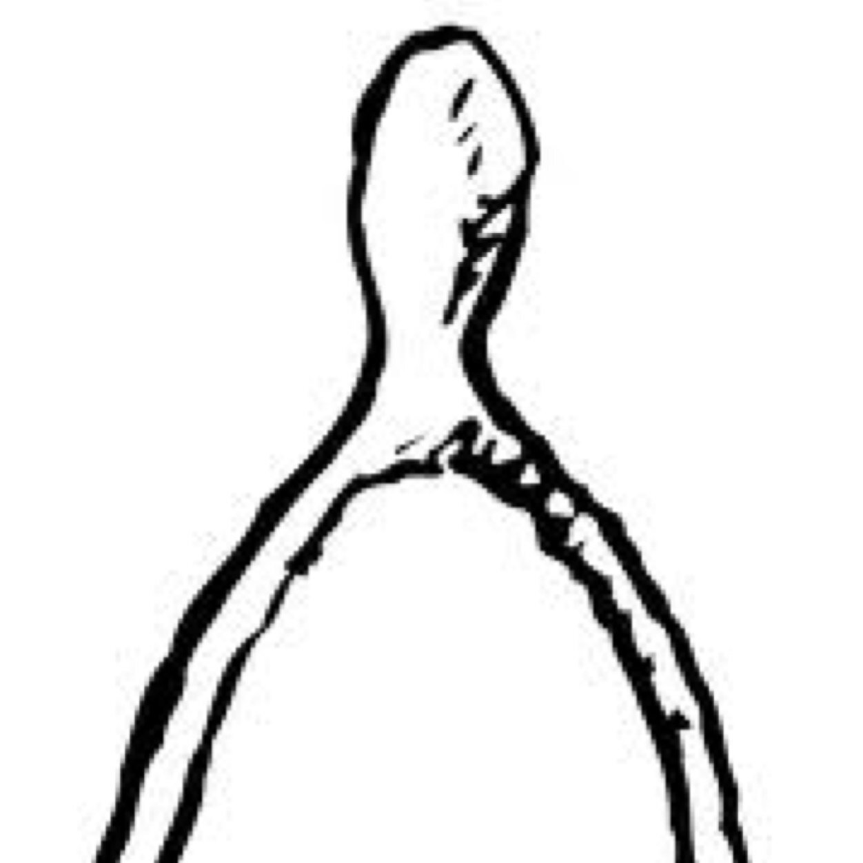1252x1252 Wishbone Apps - Wishbone Drawing