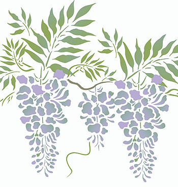 Wisteria Drawing at PaintingValley.com | Explore collection of Wisteria ...