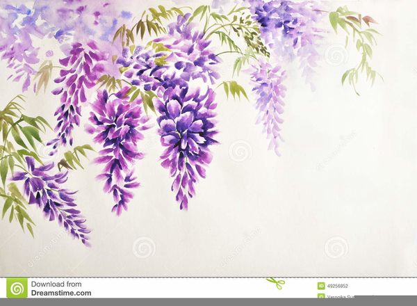 600x440 Wisteria Drawing Clipart Free Images - Wisteria Drawing