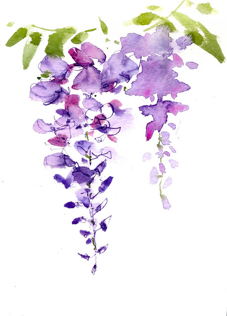 460x640 Apple Pine Sketchbook - Wisteria Drawing