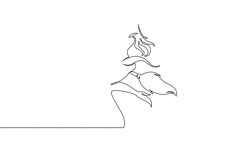 852x480 witch broom footage - Witch Broom Drawing