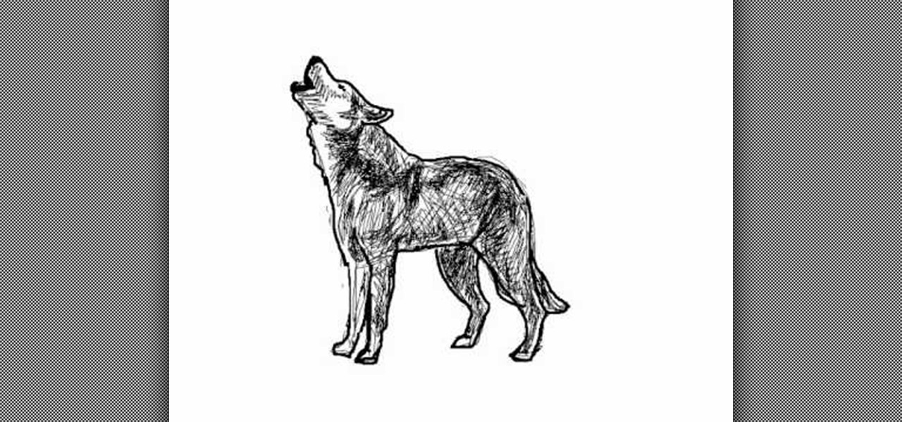 1280x600 How To Draw A Wolf - Wolf And Moon Drawing