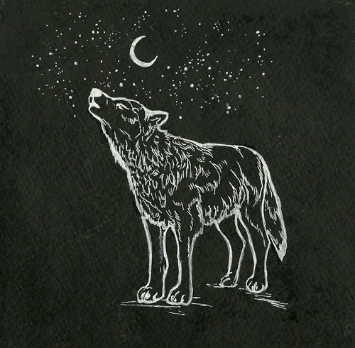 500x490 Image About Black In Drawings - Wolf And Moon Drawing