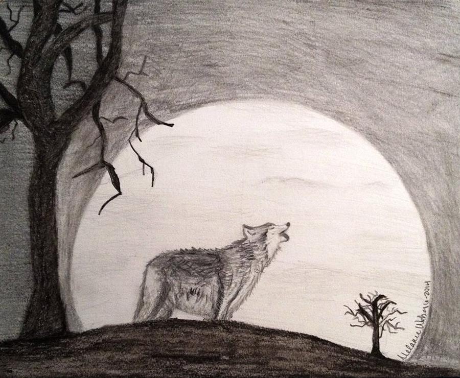 900x740 Wolf Moon Drawing - Wolf And Moon Drawing
