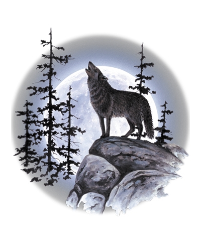 400x500 Wolf Moon Standing Door Mat - Wolf And Moon Drawing