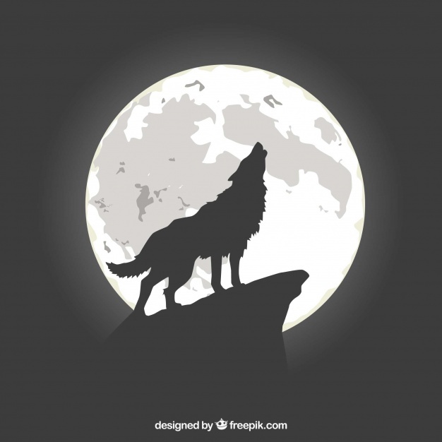 626x626 Wolf Vectors, Photos And Free Download - Wolf And Moon Drawing