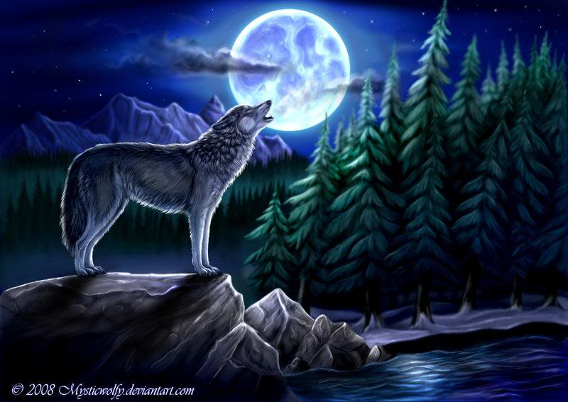 800x567 Wolf And Moon Wallpaper - Wolf And Moon Drawing