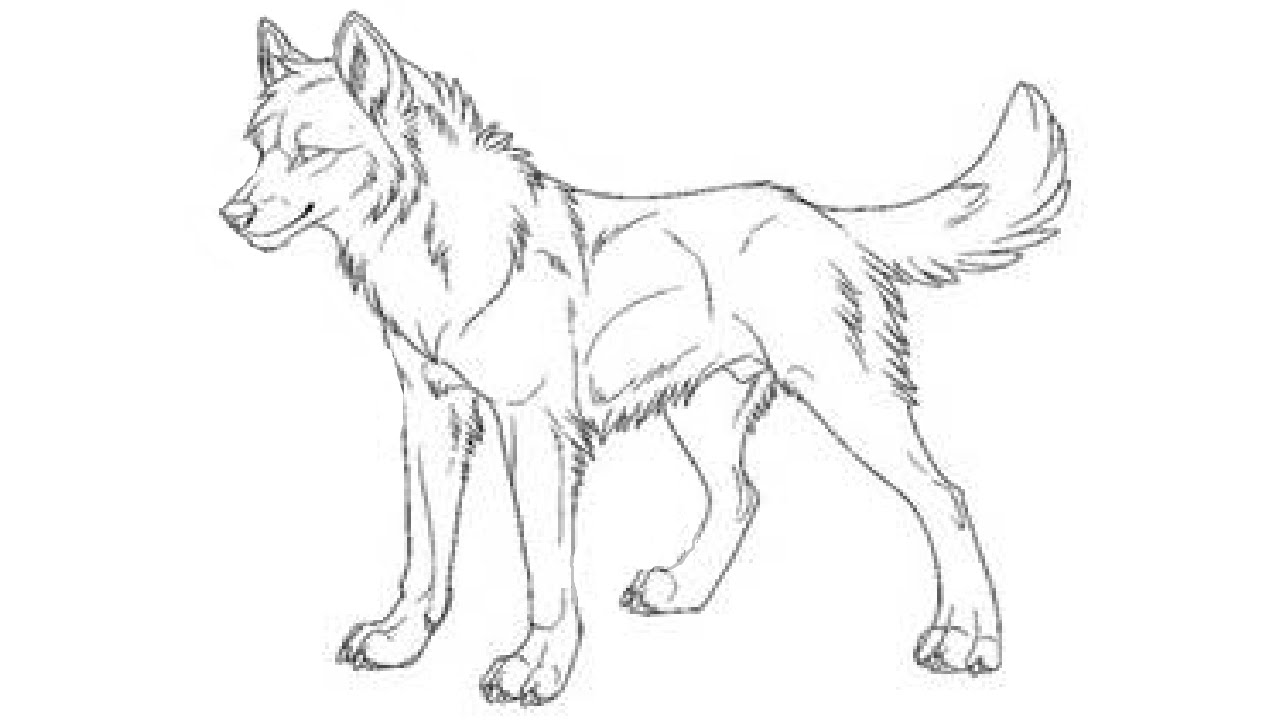 1280x720 How To Draw An Amazing Animal Jam Wolf! - Wolf Animal Drawing