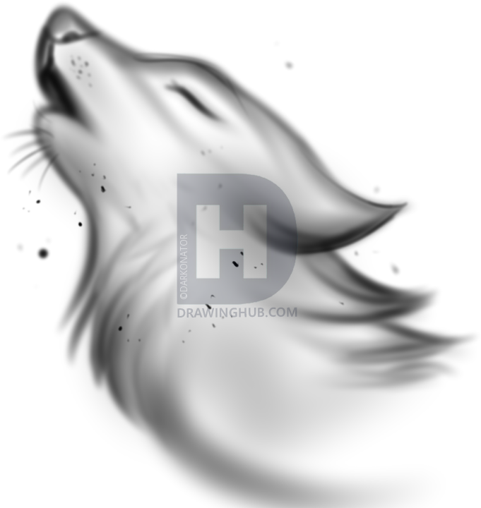 681x720 How To Draw A Wolf Spirit, Step - Wolf Animal Drawing