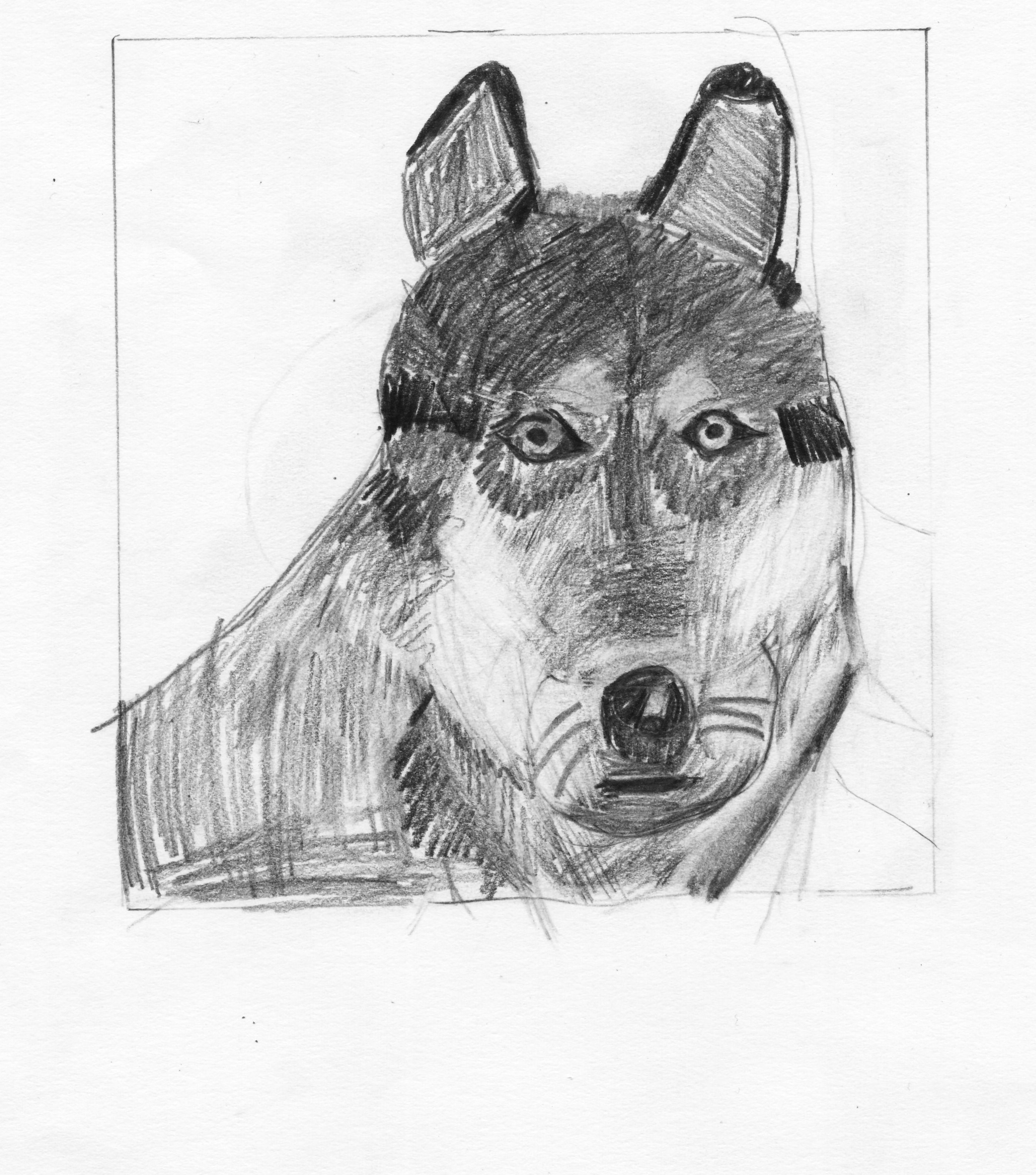 2799x3173 Graph Drawing Wolf For Free Download - Wolf Animal Drawing