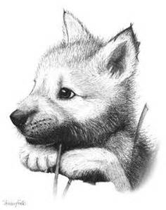 236x298 Best Wolves Images Wolf Pictures, Wolf Drawings, Animal Pictures - Wolf Animal Drawing
