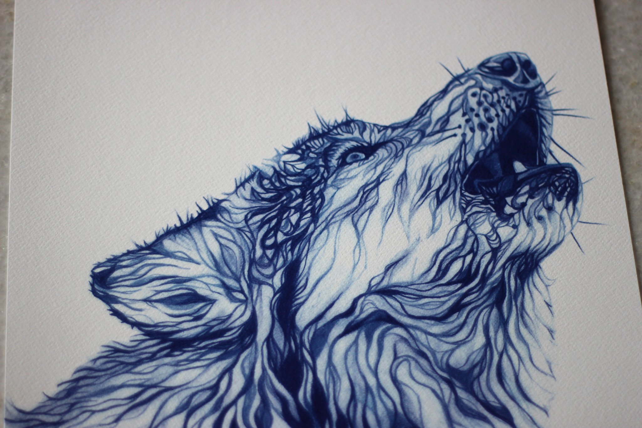 2048x1365 wolf art print april the bear - Wolf Art Drawings