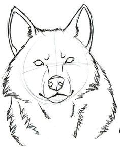 236x293 Best Wolf Heads Images Wolf Drawings, Wolves, Sketches Of Animals - Wolf Basic Drawing