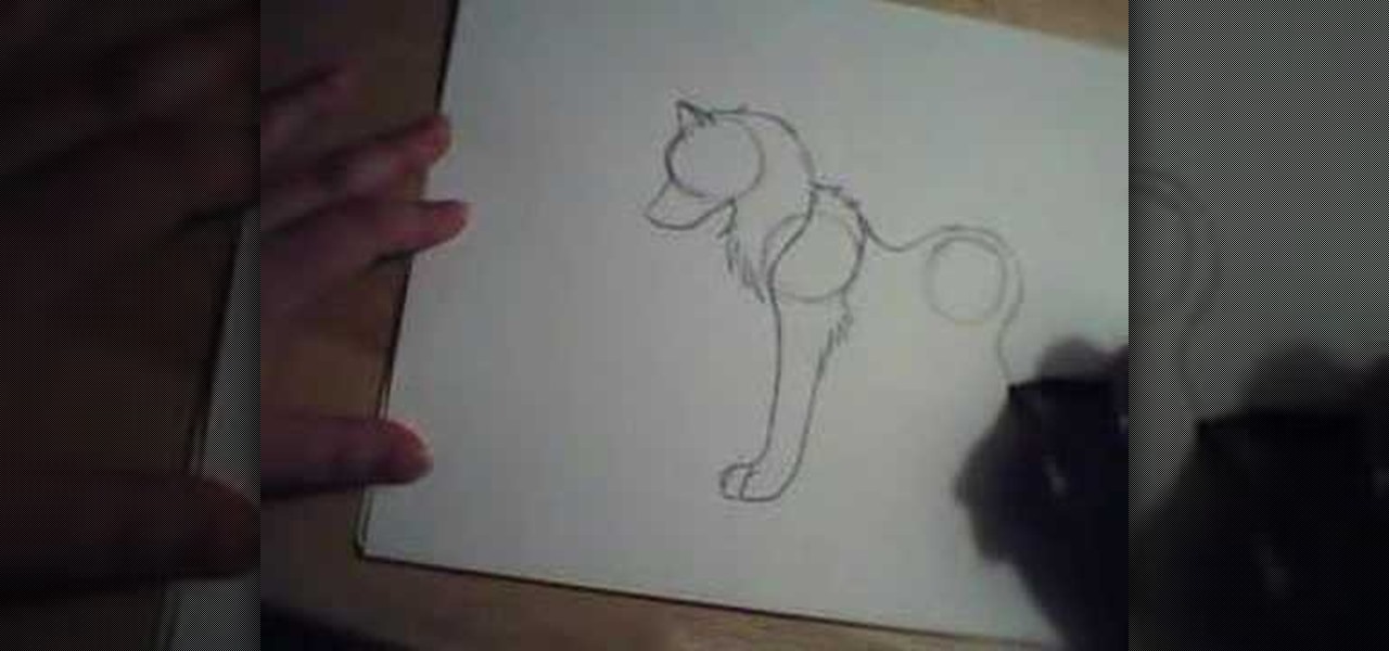 1280x600 How To Draw A Basic Wolf Using Simple Shapes Drawing - Wolf Basic Drawing